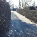 Deichblick_spo * Böhl